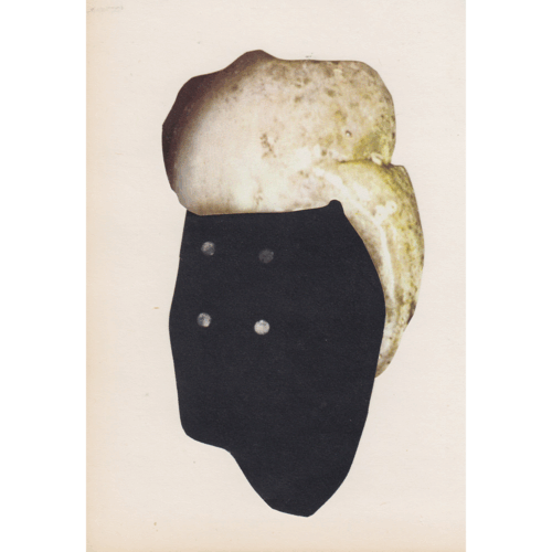 Silky thoughts nr. 134