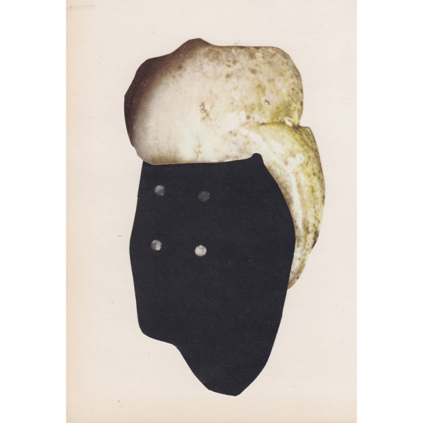 Silky thoughts nr. 134